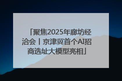聚焦2025年廊坊经洽会丨京津冀首个AI招商选址大模型亮相
